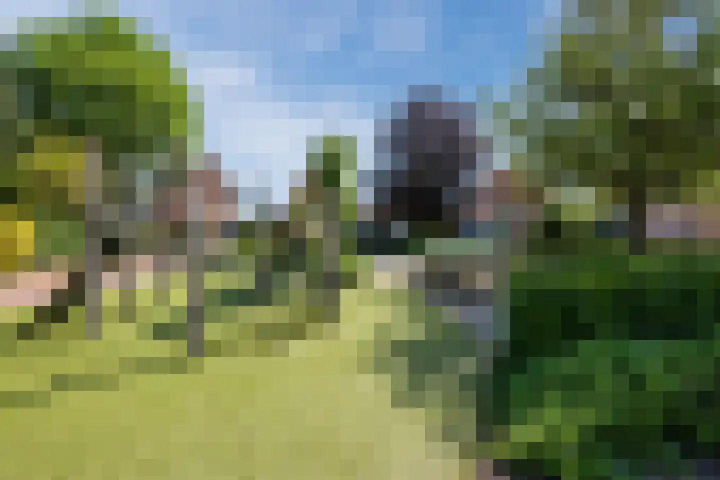 De Marke van Leusen 25 Nieuwleusen thumbnail 85