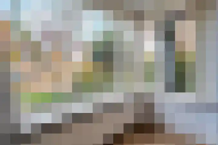 De Marke van Leusen 9 Nieuwleusen thumbnail 15