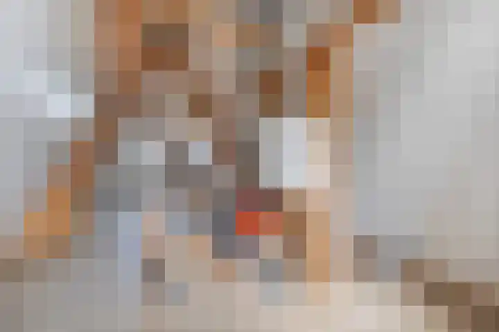 De Marke van Leusen 9 Nieuwleusen thumbnail 28