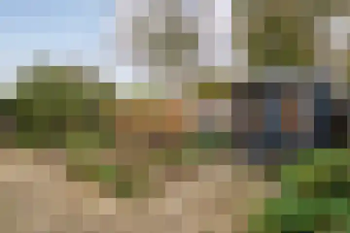De Marke van Leusen 9 Nieuwleusen foto 3