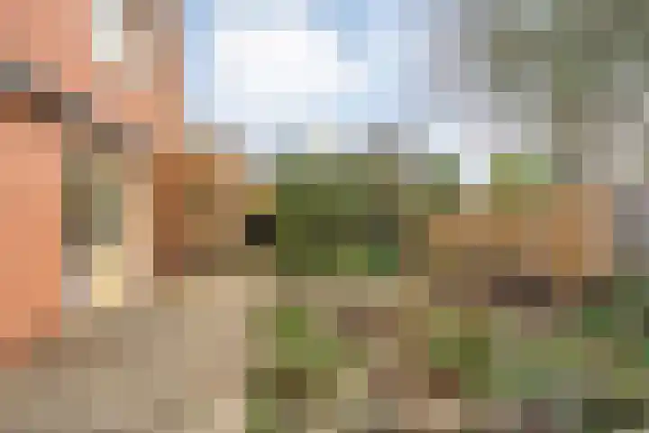 De Marke van Leusen 9 Nieuwleusen thumbnail 33
