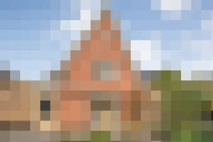De Marke van Leusen 9 Nieuwleusen thumbnail 34
