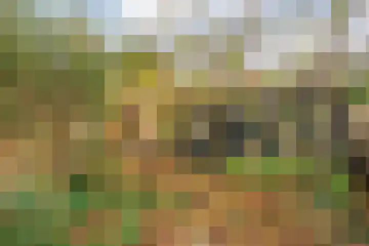 De Marke van Leusen 9 Nieuwleusen thumbnail 35