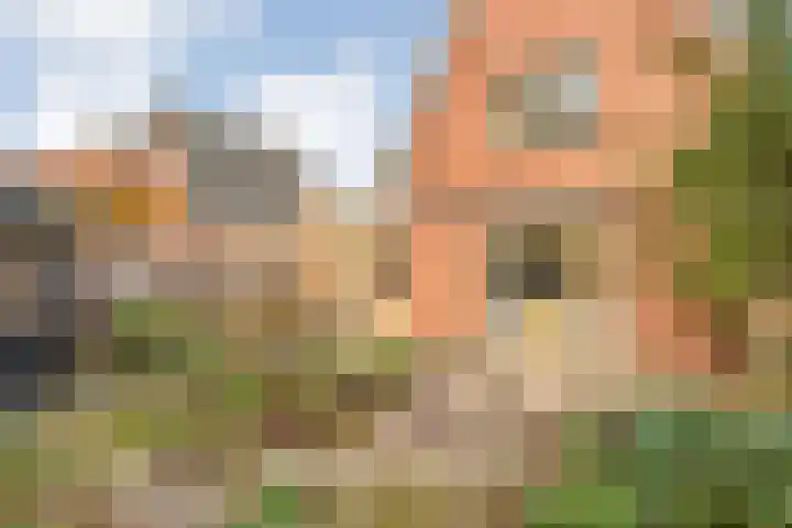 De Marke van Leusen 9 Nieuwleusen thumbnail 36