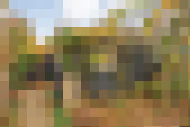 De Marke van Leusen 9 Nieuwleusen thumbnail 37