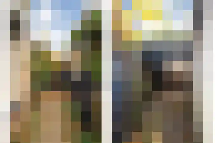 De Marke van Leusen 9 Nieuwleusen thumbnail 38