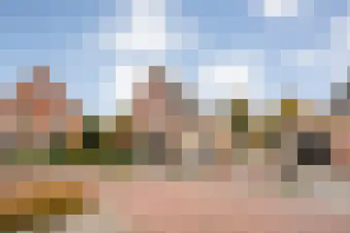 De Marke van Leusen 9 Nieuwleusen thumbnail 4