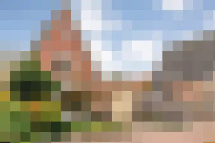 De Marke van Leusen 9 Nieuwleusen thumbnail 6