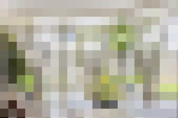 De Markerichter 1 Borculo thumbnail 16