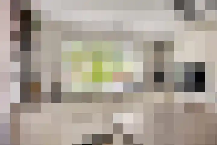 De Markerichter 1 Borculo thumbnail 20