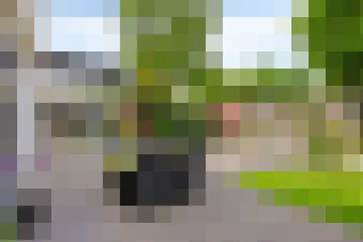 De Markerichter 1 Borculo thumbnail 41