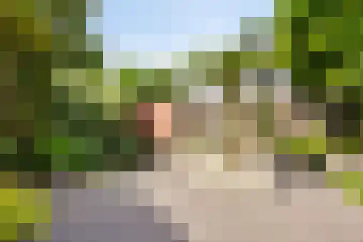 De Markerichter 1 Borculo thumbnail 42