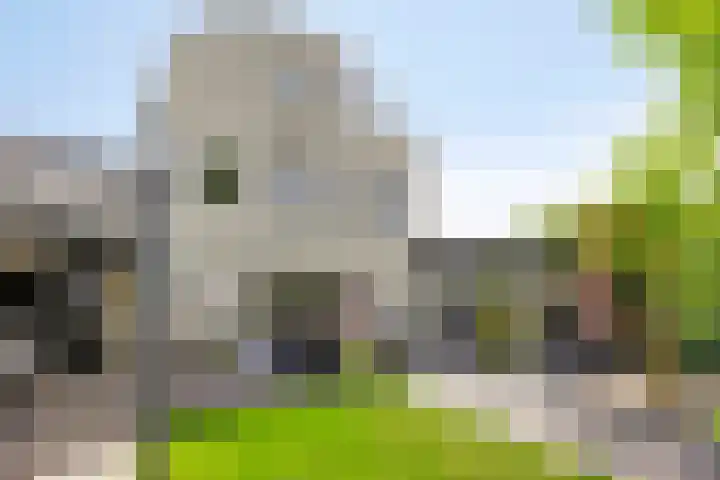 De Markerichter 1 Borculo thumbnail 47