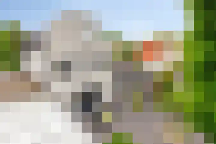 De Markerichter 1 Borculo thumbnail 48