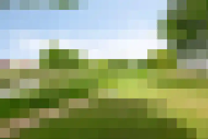 De Markerichter 1 Borculo thumbnail 54