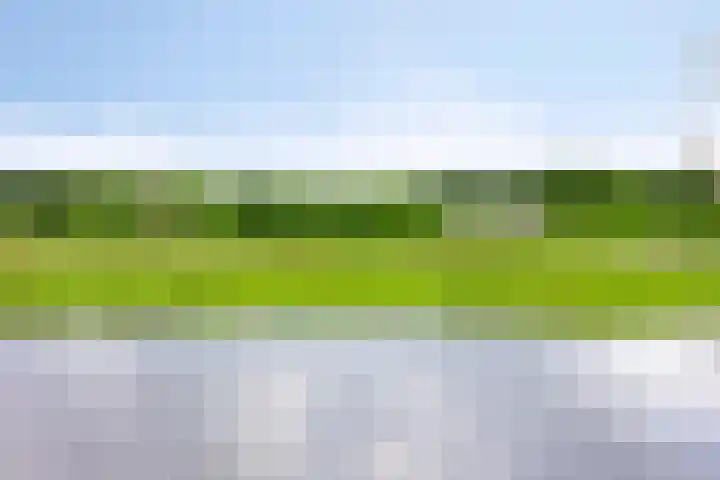 De Markerichter 1 Borculo thumbnail 58