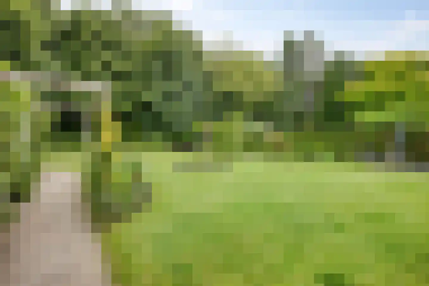 De Markerichter 70 Borculo thumbnail 11