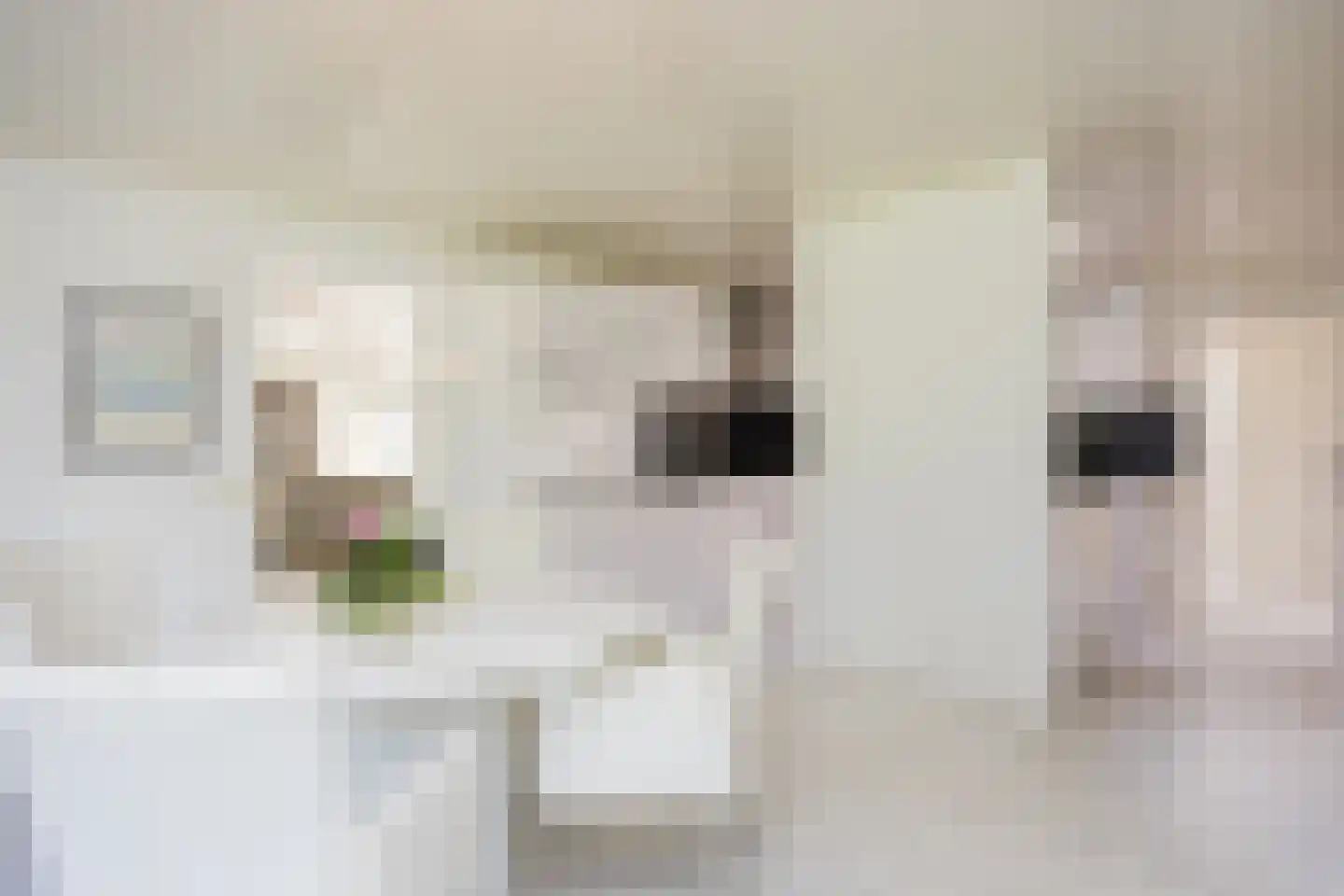 De Markerichter 80 Borculo thumbnail 18