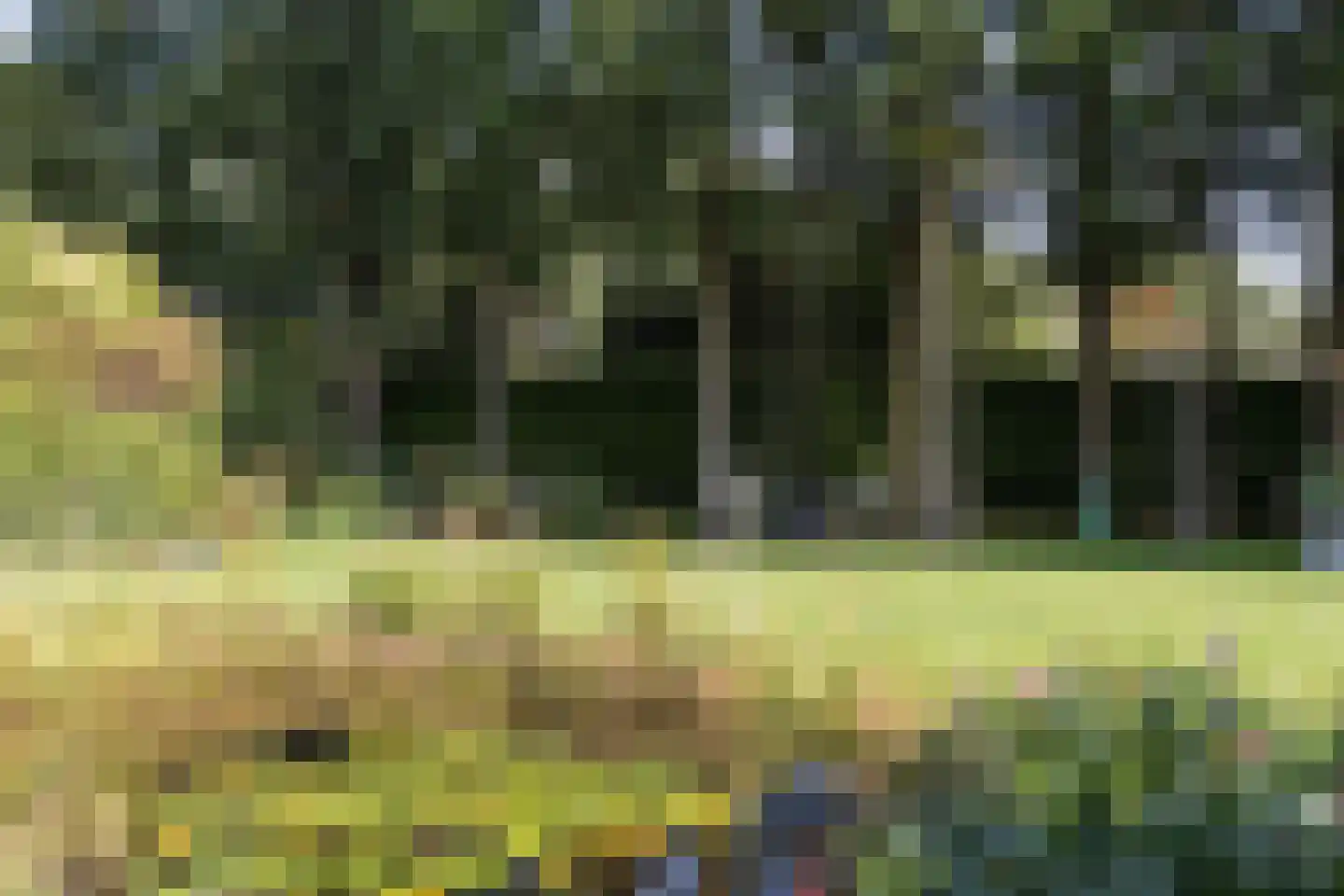De Markerichter 80 Borculo thumbnail 44