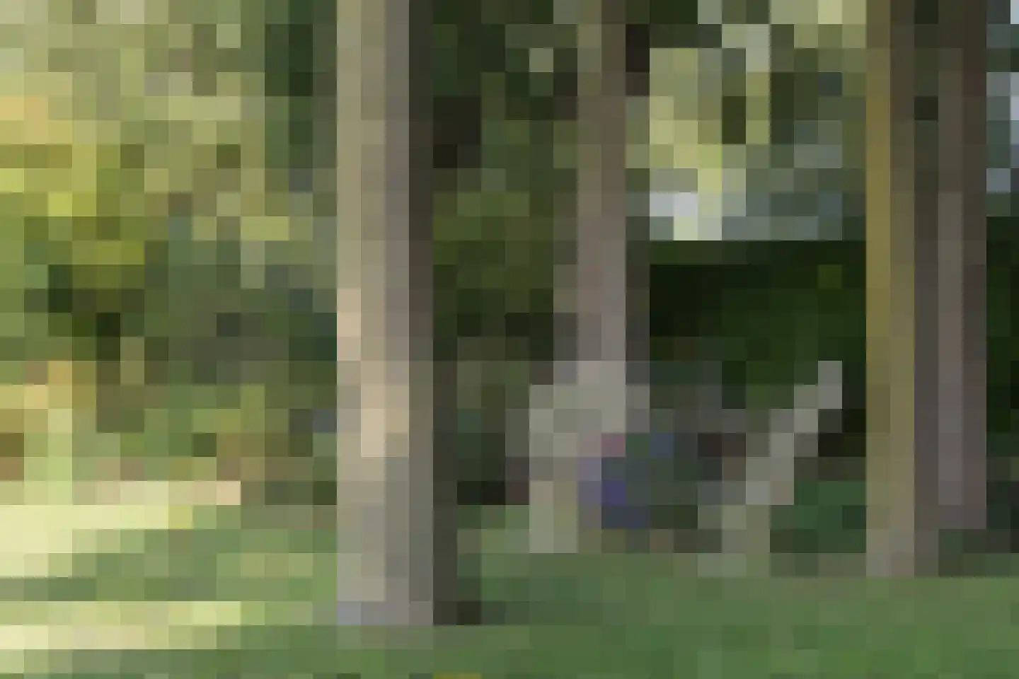 De Markerichter 80 Borculo thumbnail 45