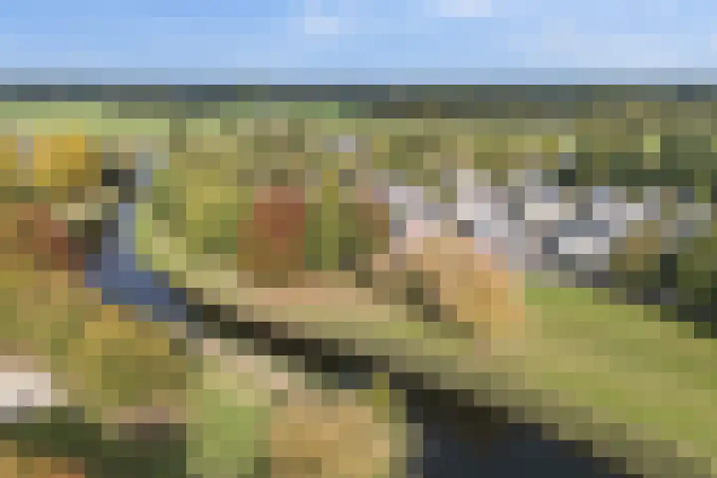 De Markerichter 80 Borculo thumbnail 49