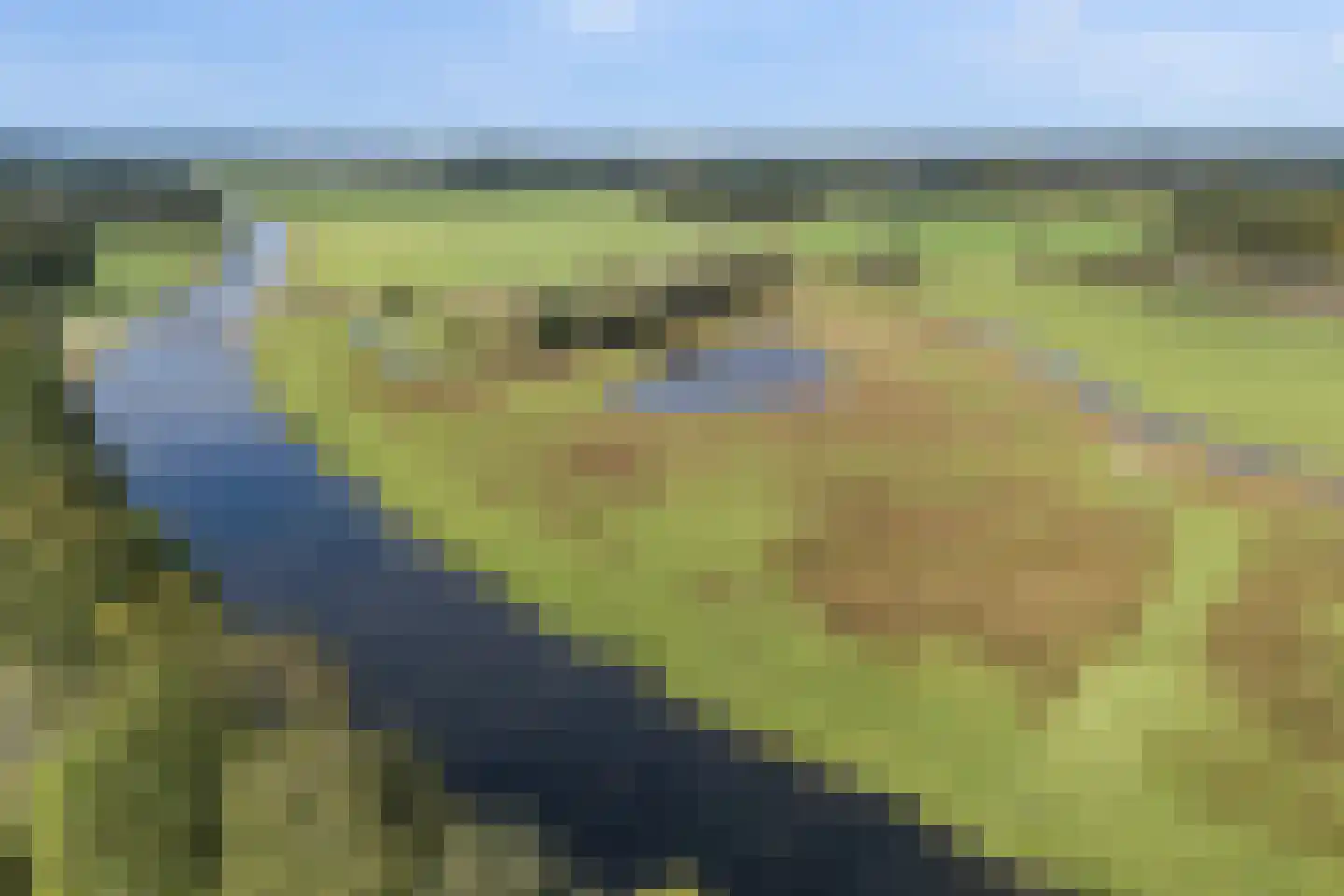 De Markerichter 80 Borculo thumbnail 50