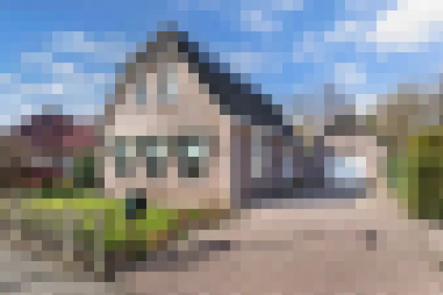 De Markeur 8 Bant
