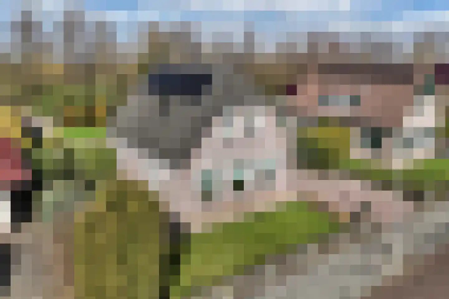 De Markeur 8 Bant thumbnail 10
