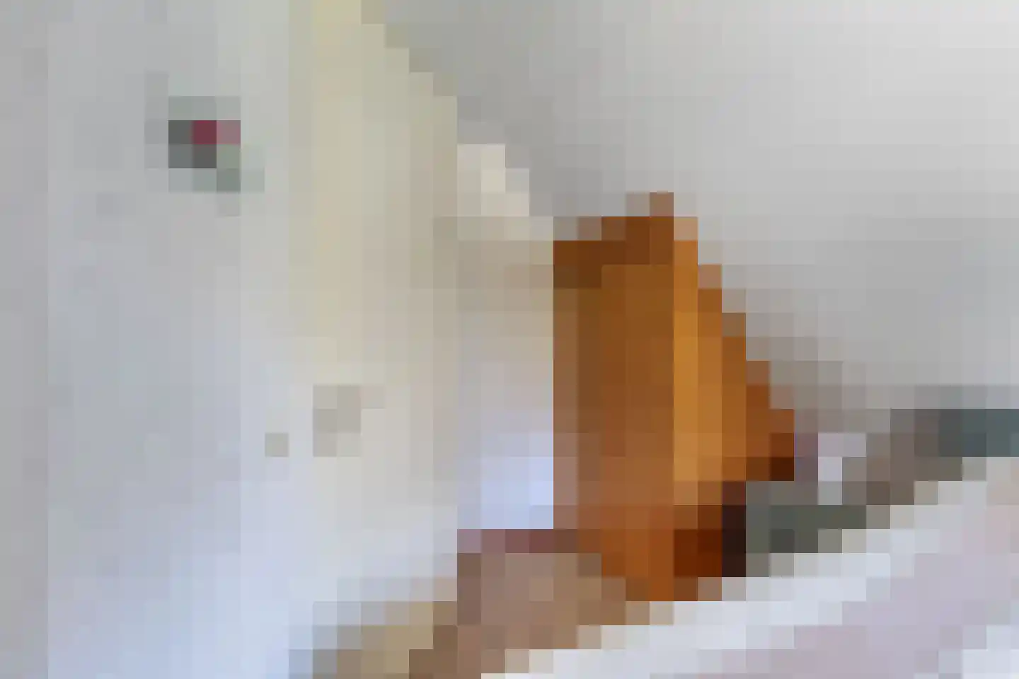 De Markeur 8 Bant thumbnail 28