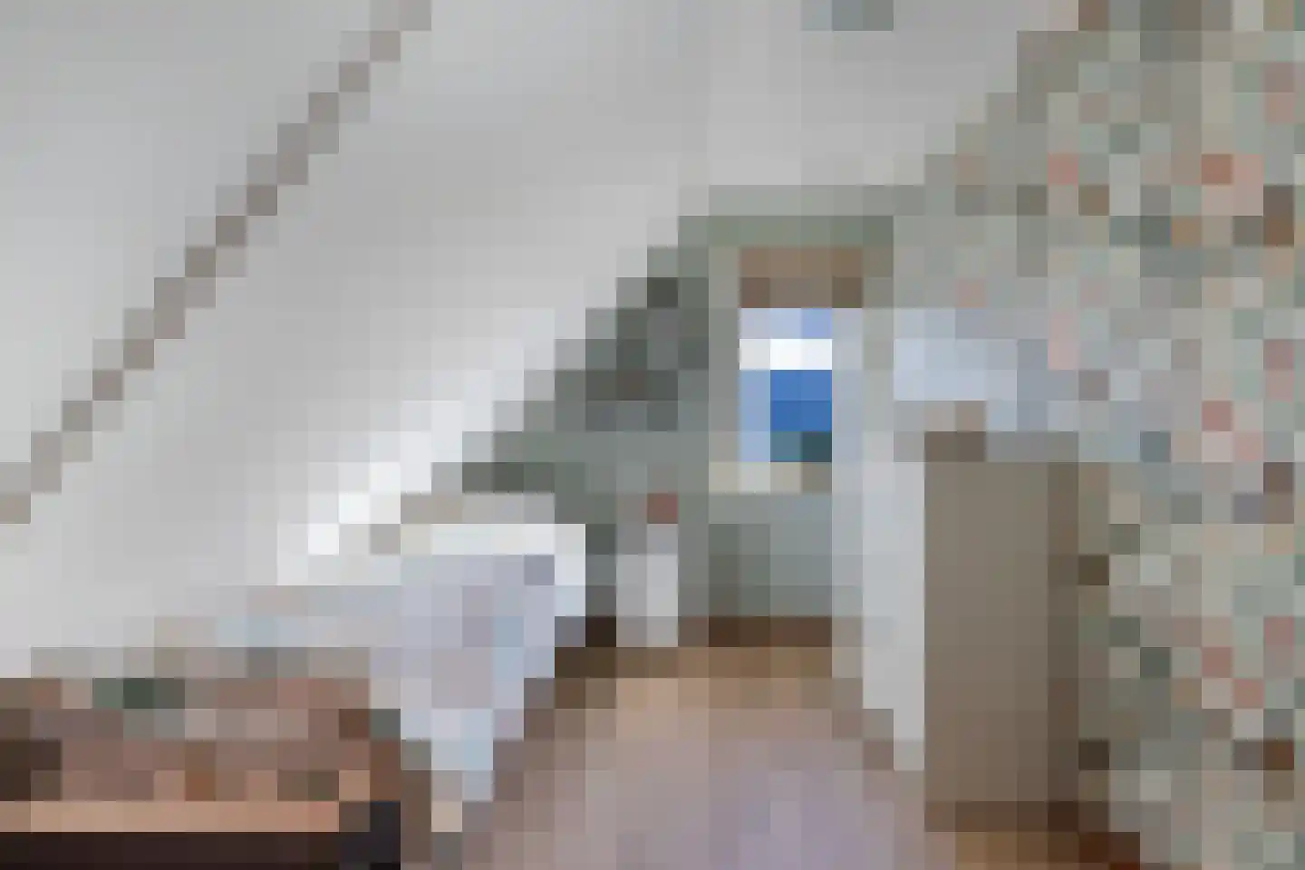 De Markeur 8 Bant thumbnail 29