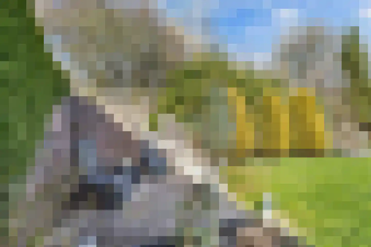 De Markeur 8 Bant thumbnail 42