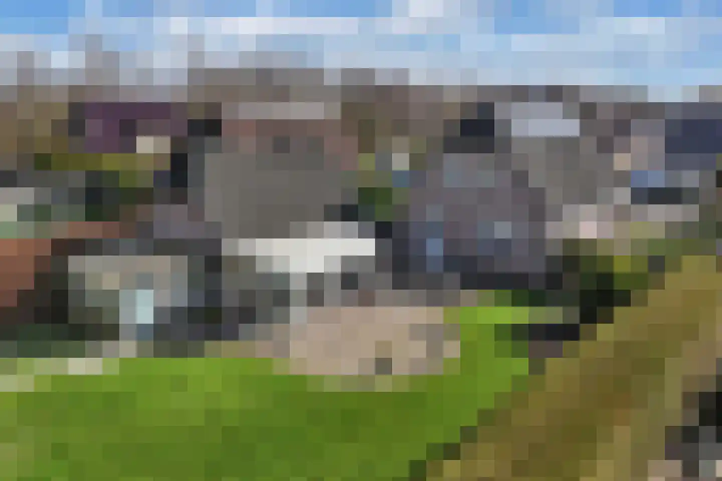 De Markeur 8 Bant thumbnail 46
