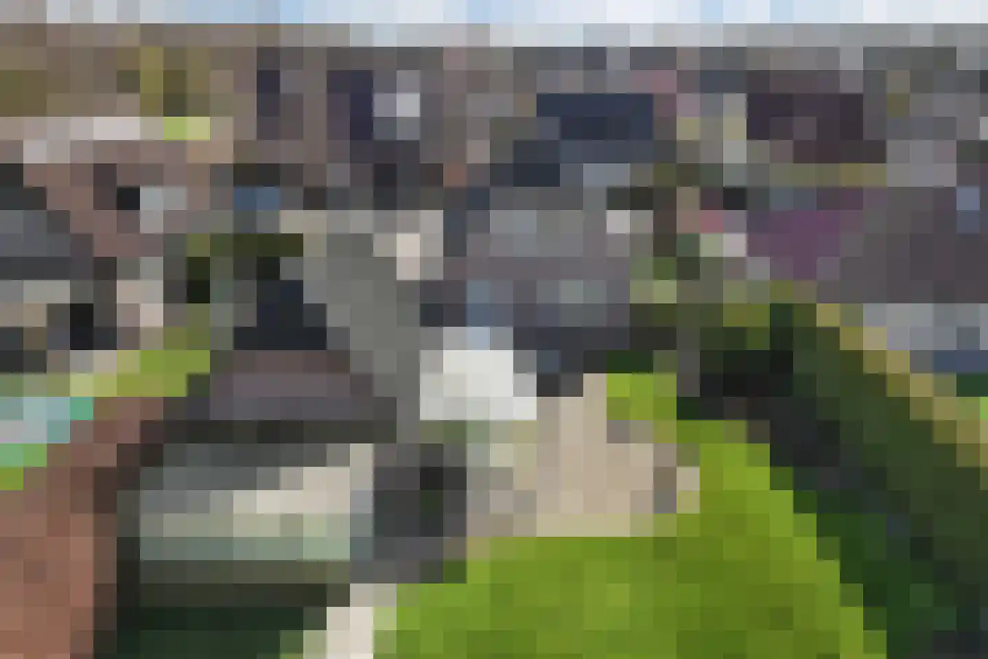 De Markeur 8 Bant thumbnail 47