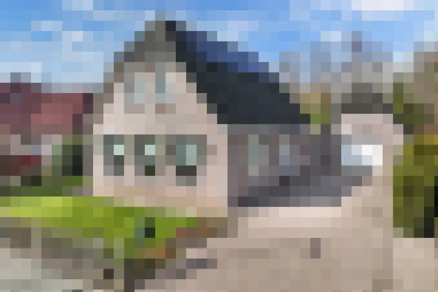 De Markeur 8 Bant thumbnail 7