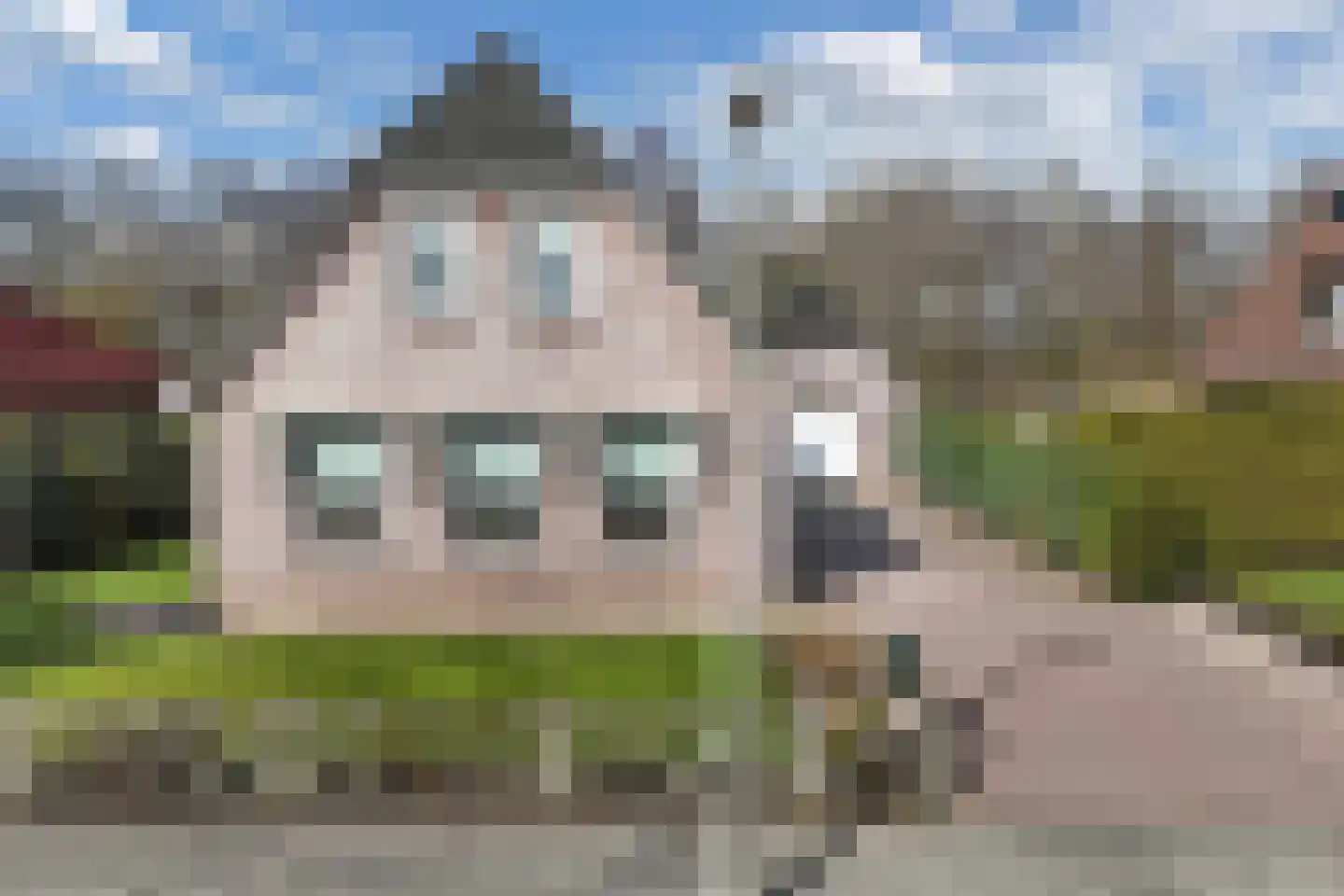 De Markeur 8 Bant thumbnail 9