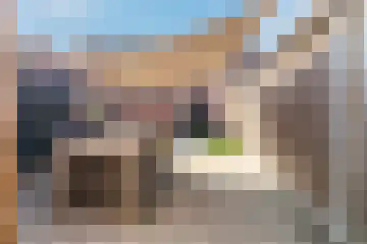 De Markgraven 33 Westerhaar-Vriezenveensewijk thumbnail 28