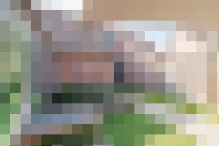 De Markgraven 33 Westerhaar-Vriezenveensewijk thumbnail 30