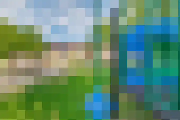 De Markgraven 33 Westerhaar-Vriezenveensewijk thumbnail 32