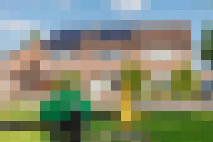 De Markgraven 33 Westerhaar-Vriezenveensewijk thumbnail 33