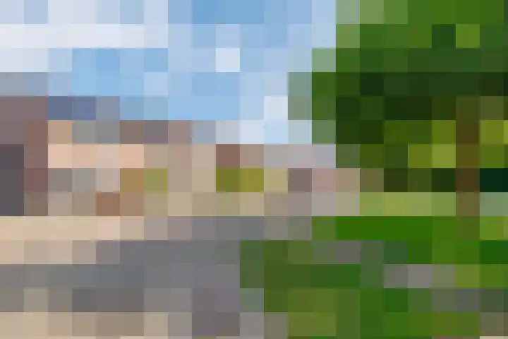 De Markgraven 33 Westerhaar-Vriezenveensewijk thumbnail 5