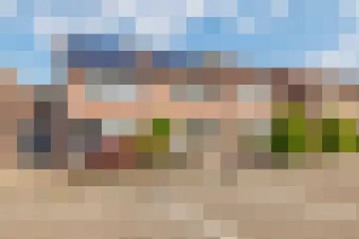 De Markgraven 33 Westerhaar-Vriezenveensewijk thumbnail 6