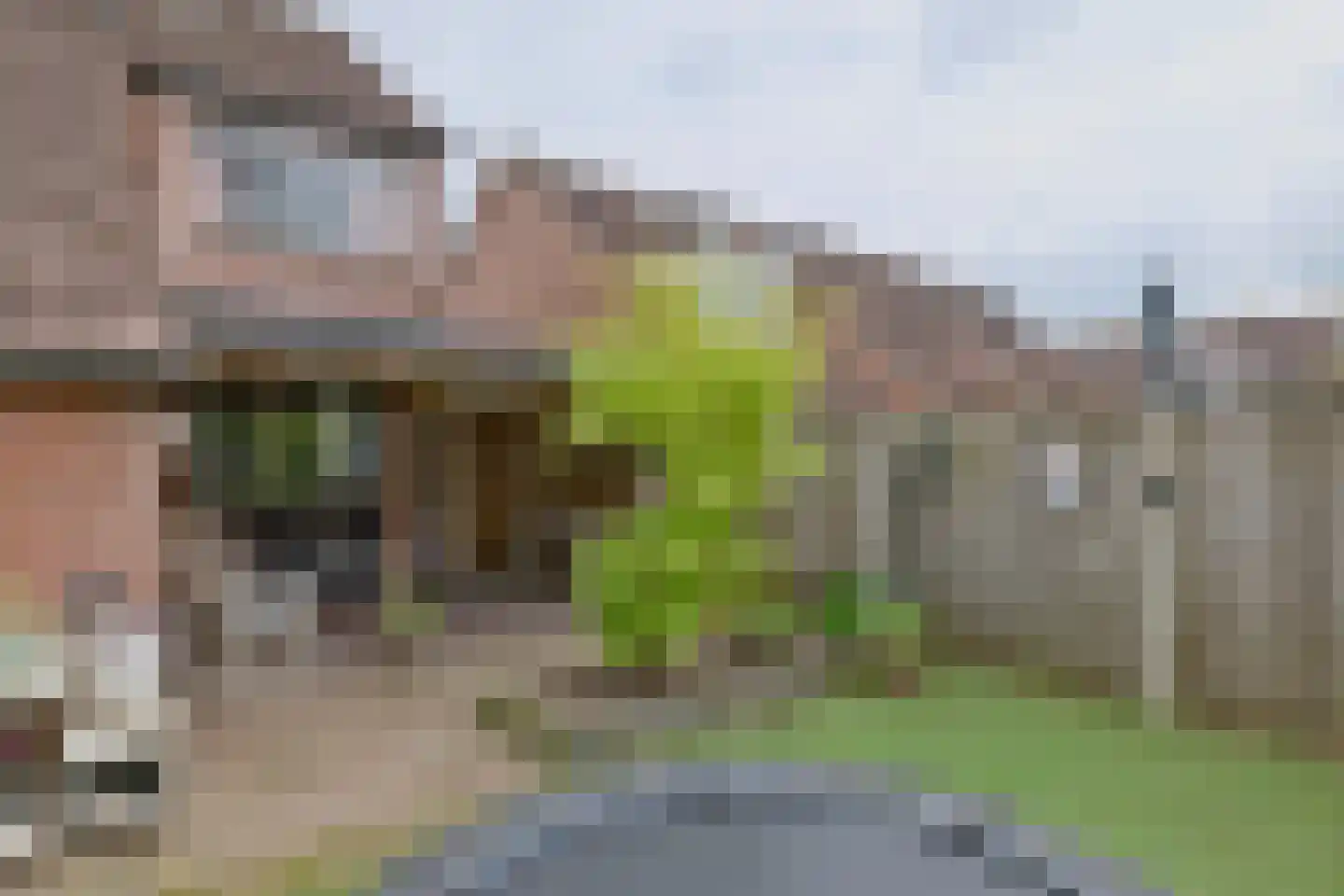 De Markgraven 9 Westerhaar-Vriezenveensewijk thumbnail 22