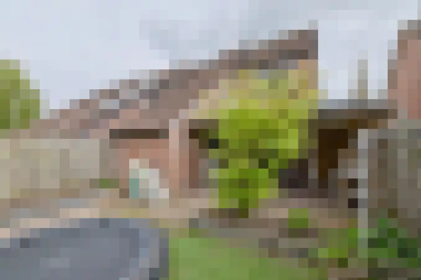 De Markgraven 9 Westerhaar-Vriezenveensewijk thumbnail 23