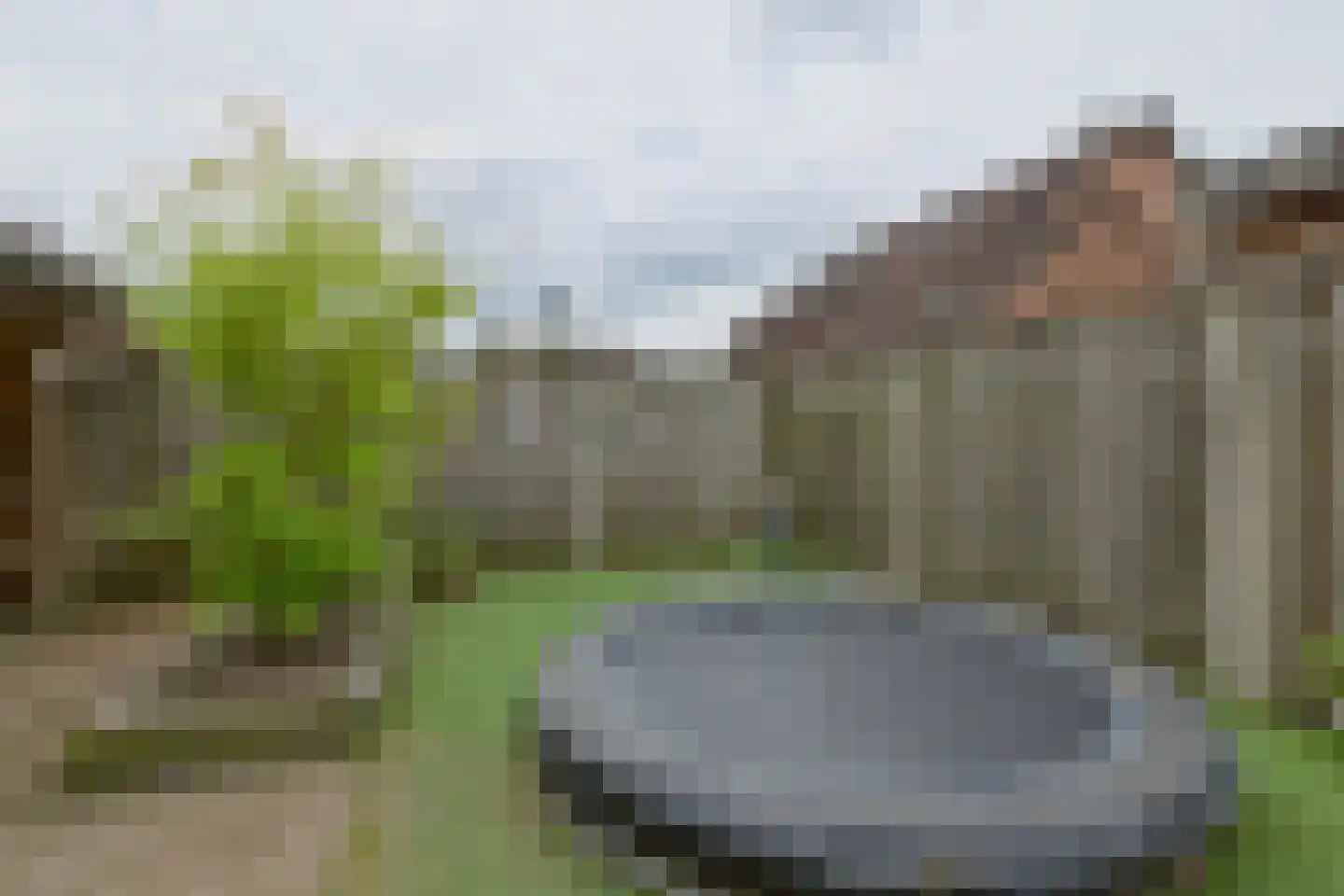 De Markgraven 9 Westerhaar-Vriezenveensewijk thumbnail 24