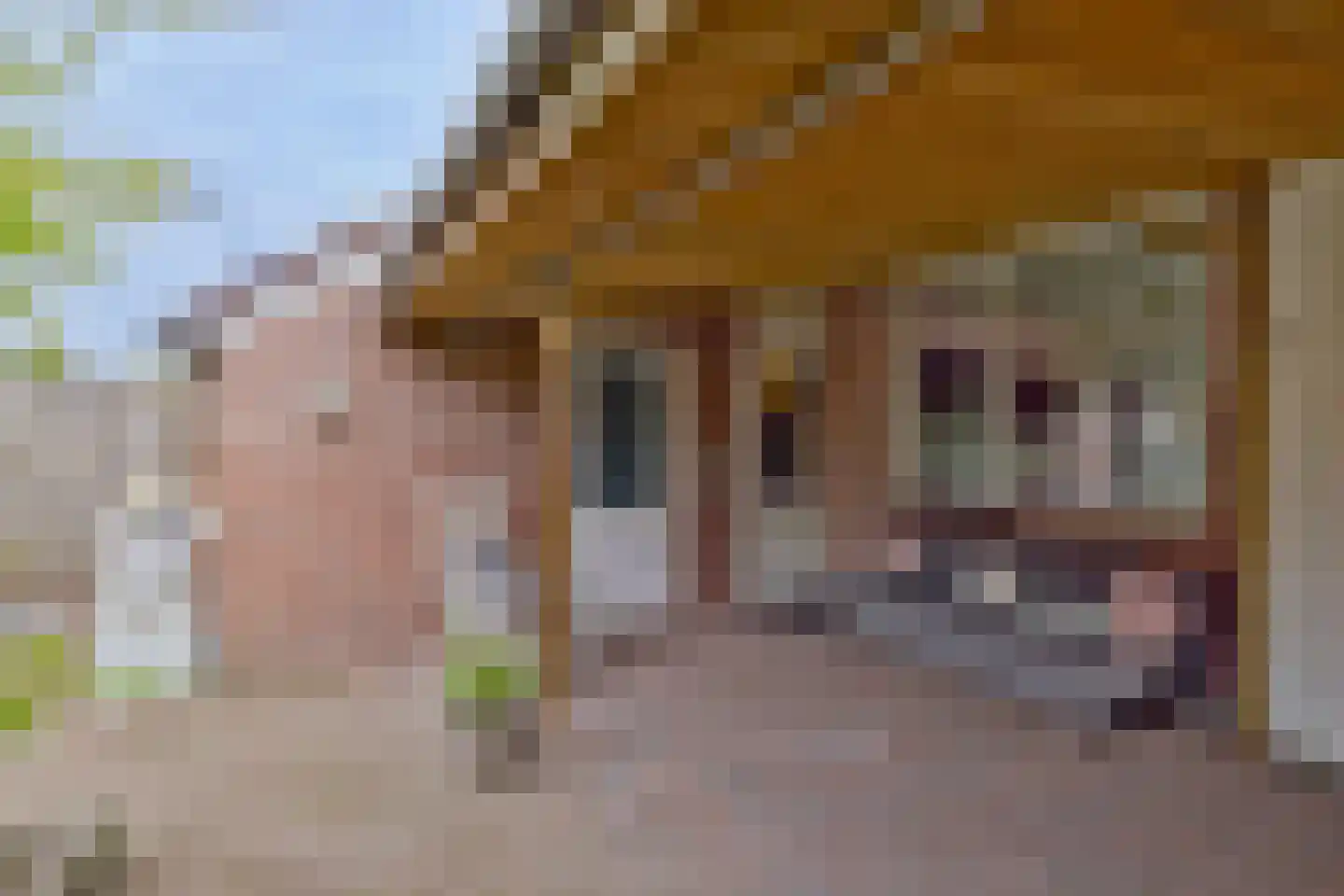 De Markgraven 9 Westerhaar-Vriezenveensewijk thumbnail 25