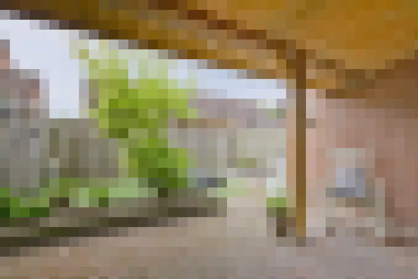 De Markgraven 9 Westerhaar-Vriezenveensewijk thumbnail 28