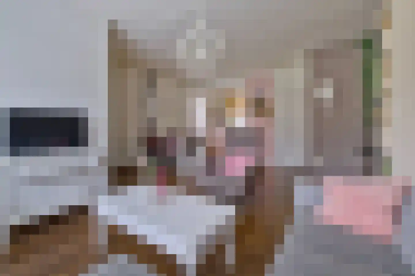 De Markgraven 9 Westerhaar-Vriezenveensewijk thumbnail 6