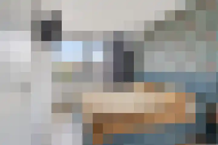 De Markies 5 Huissen thumbnail 14