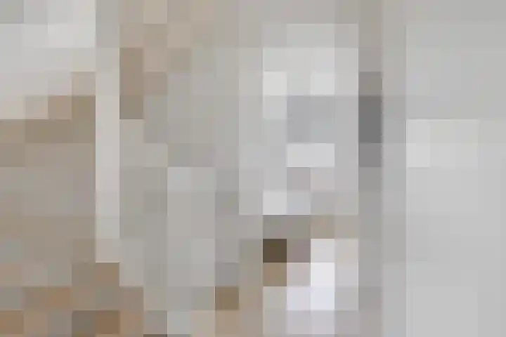 De Markies 5 Huissen thumbnail 17
