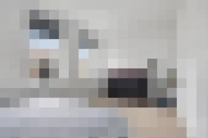 De Markies 5 Huissen thumbnail 19